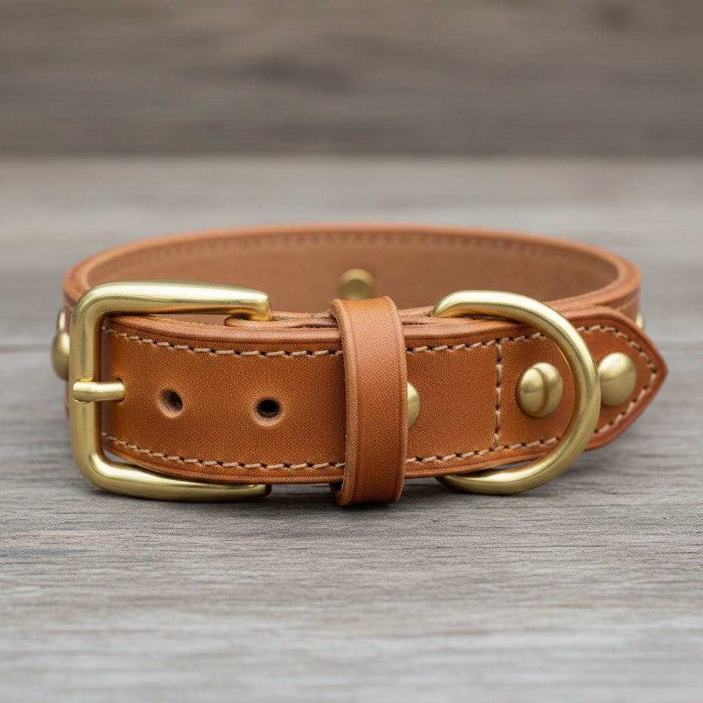 Premium leather adjustable dog collar