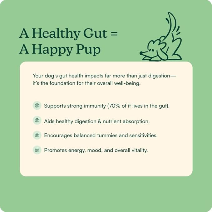 Reggie Pumpkin Probiotic Powder for Dogs | 7-Strain Probiotics + Pumpkin for Gut Health, Digestion & Stool Consistency | Natural Dog Digestive Supplement | Vet-Approved & Made in USA | 40 Scoops