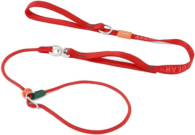 HowGo Slip Lead Dog Leash with Double Handles | Reflective Dog Training Leash with 360° Swivel Anti-Tangle | Heavy-Duty Lead and Collar for Large Medium and Small, No-Pull Walking (Red, 5.5FT)