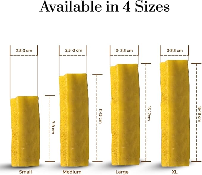 Dogsee Himalayan Yak Cheese Dog Chews with Turmeric/Curcumin (Medium - 2 Chews) | All Natural Long Lasting | Anti-inflammatory | Odorless High Protein Chew | Dog Treats for Active Chewers