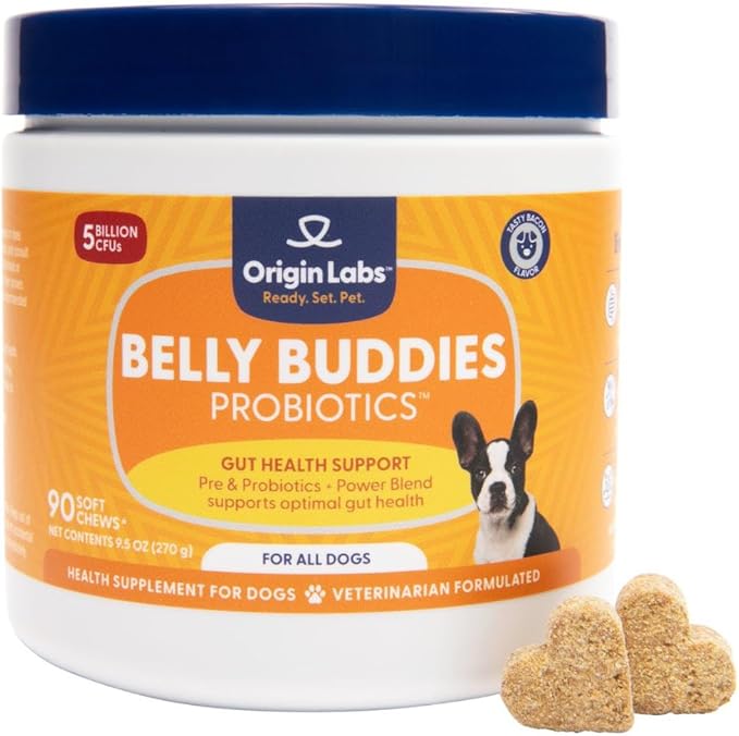 Origin Labs Belly Buddies - Probiotics for Dogs - Prebiotics & Probiotics - Supports Gut, Skin, and Immune Health - 5 Billion CFUs 7 Strain Probiotic Blend - Natural Bacon Flavor, 90 Soft Chews
