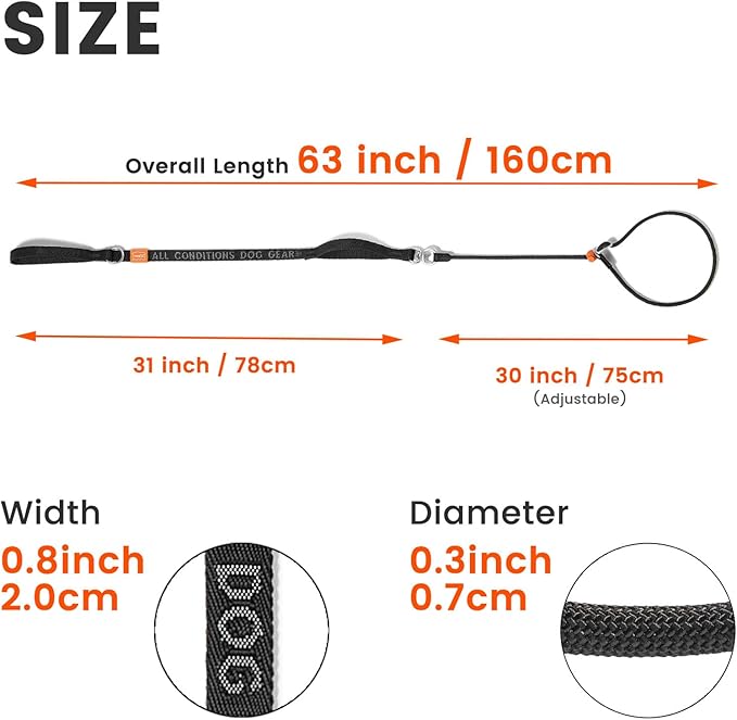 HowGo Slip Lead Dog Leash with Double Handles | Reflective Dog Training Leash with 360° Swivel Anti-Tangle | Heavy-Duty Lead and Collar for Large Medium and Small, No-Pull Walking (Red, 5.5FT)