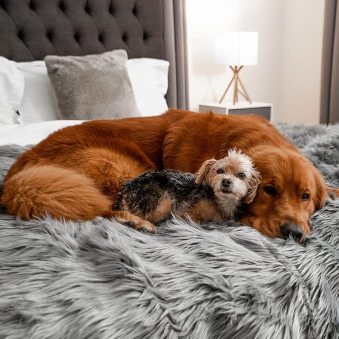 PupProtector Waterproof Throw Blanket for Dogs and Cats, Pet Blanket Cover for Couches, Sofas, Beds, Car Seats, Furniture, Calming Soft Faux Fur, Charcoal Grey, Original (60" L x 50" W)