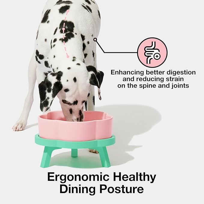 VETRESKA Elevated Dog Bowls Large, 64OZ Ceramic Raised Dog Bowl with Bamboo Stand, Flower-Shaped Food Water Bowl, Pet Feeding Dish Bowls for Medium/Large Dogs and Cats