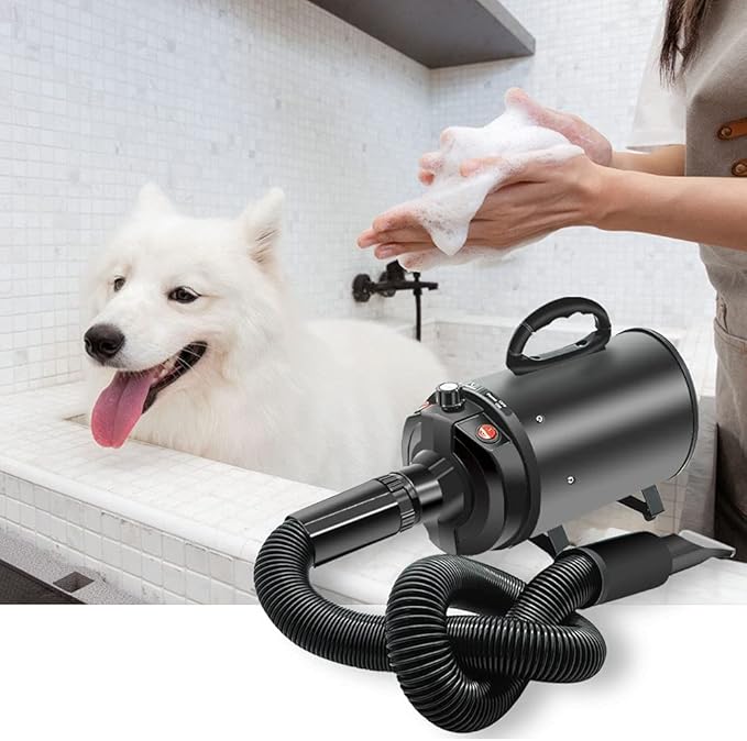 Dog Hair Dryer Quick Dry 2800W Noise Reduction Pet Hair Dryer Home Use Professional Stepless Adjustable Speed Spring Hose 4 Nozzles Dog Blow Dryer for Grooming with Heater