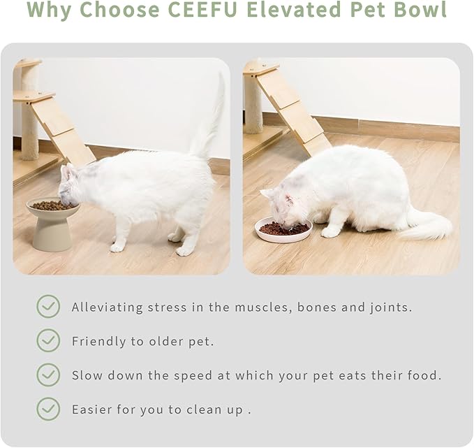 2 Elevated Cat Bowls Extra Wide for Food & Water – Whisker Fatigue, Ceramic Wide Shallow Food Dish, Lead & Cadmium Free, Raised Height for Cats, Pottery Clay