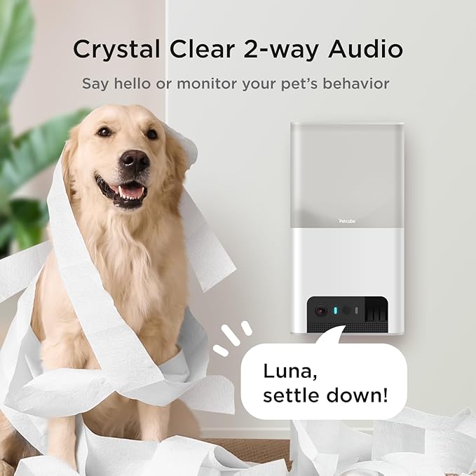 Petcube Bites 2 Lite Interactive WiFi Pet Monitoring Camera with Phone App and Treat Dispenser, 1080p HD Video, Night Vision, Two-Way Audio, Sound and Motion Alerts, Cat and Dog Monitor