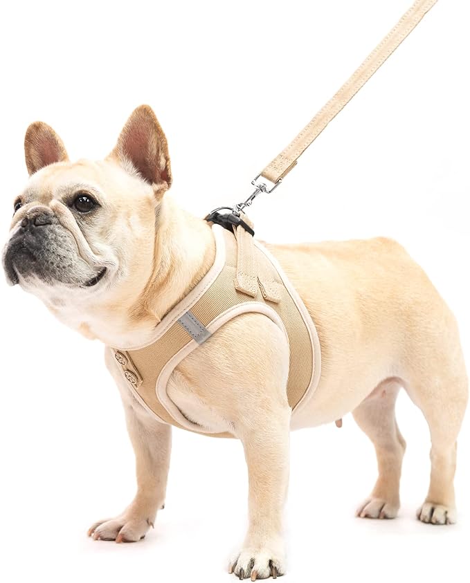 PUPTECK Dog Harness and Leash Set for Small Medium Dogs No Pull Step-in Soft Mesh Puppy Cat Vest Harnesses Reflective at Night, Denim Beige L