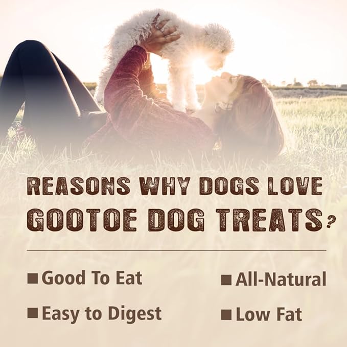 Gootoe Soft Dog Treats, Chicken Jerky - Dog Training Treats; High-Protein, Gluten-Free, Soft Jerky for Dogs, Hypoallergenic, Grain-Free, Chicken Breast Strips, 1 lb