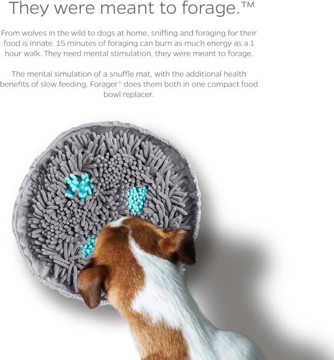 Pet Parents Forager Bowls, Slow Feeder Dog & Cat Bowls with SoftSnout™ & Non-Slip Backing, Portable Pet Puzzle Toys & Snuffle Mats, 30 oz, Modern Grey (Meadow Ponds)