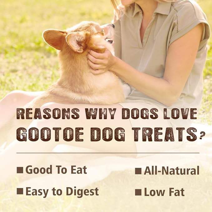 Gootoe Soft Turkey Tendon Stirip 3oz, Natural Chewy Snack, USA-Sourced Turkey Tendon, Premium Training Chews, Hypoallergenic, Reseal Value Bags, Ideal for Small & Senior Dogs