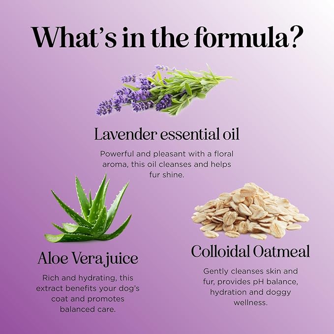 Soothing Oatmeal Shampoo for Dogs - Cleansing and Moisturizing Aloe & Oatmeal Dog Shampoo for Smelly Dogs of all Ages & Breeds - Gentle Sulfate and Paraben Free Dog Wash Made in USA (Lavender Vanilla)