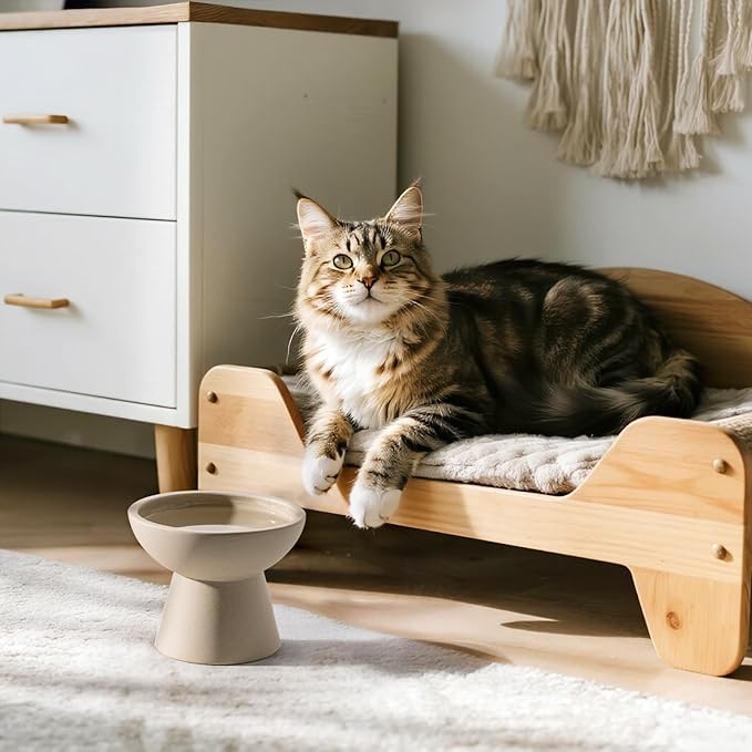 2 Elevated Cat Bowls Extra Wide for Food & Water – Whisker Fatigue, Ceramic Wide Shallow Food Dish, Lead & Cadmium Free, Raised Height for Cats, Pottery Clay