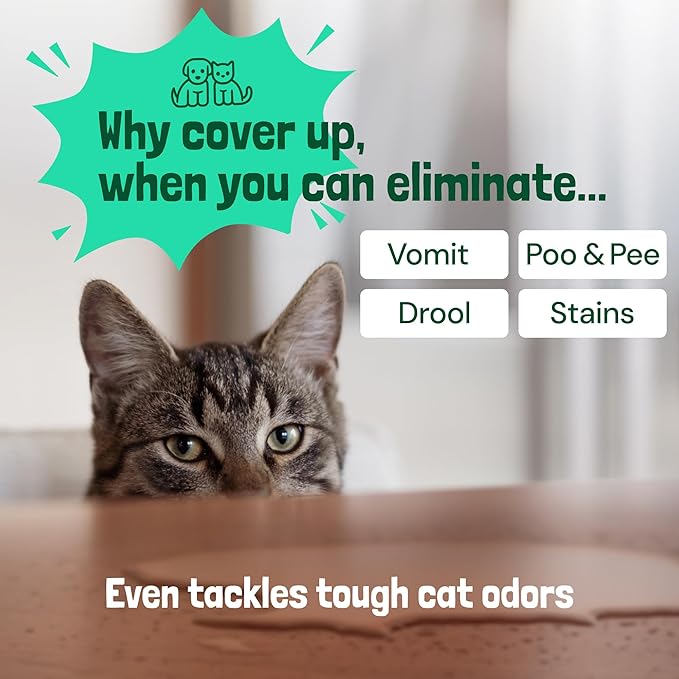 Sunny & Honey Pet Stain & Odor Miracle - Fast Acting Carpet Cleaner - Enzyme Spray for Carpets, Mattresses & Upholstery - Rug Shampoo - Dog Pee Cleaner & Surface Odor Remover (32 fl oz, Spring Mint)