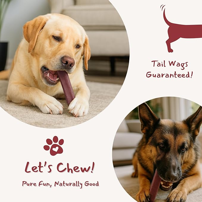 Majestic Pet Himalayan All-Natural Yak Style Cheese Dog Chews Made with 100% Cows Milk- Long Lasting Dental Chew for Dogs - Healthy Pet Treats (Urinary Tract Wellness, Large, 1 Pack)