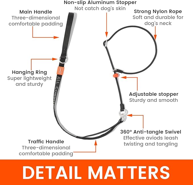 HowGo Slip Lead Dog Leash with Double Handles | Reflective Dog Training Leash with 360° Swivel Anti-Tangle | Heavy-Duty Lead and Collar for Large Medium and Small, No-Pull Walking (Red, 5.5FT)