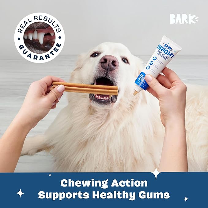 Barkbox Bright Durable Dog Dental Kit for Tough Chewers, Toothpaste - Small Breeds (15 Chew Sticks)