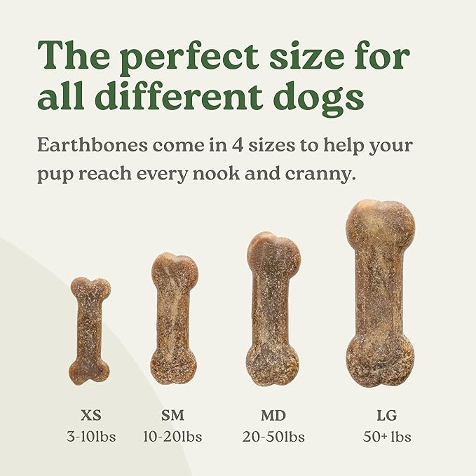Earthbones (Formerly Terrabones) Dental Chews, Dog Teeth Cleaning Treat, Small, 13 Treats