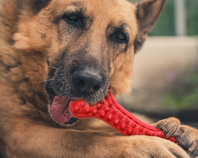 German Shepherd Dog Chew Toys for Aggressive Chewers,Indestructible Beef Flavored Tough Durable Dog Bone Toy Natural Rubber Teeth Cleaning Chews for Large/Medium Dogs