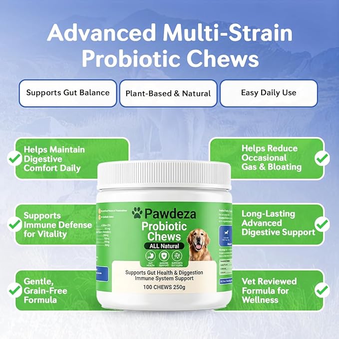 Dog Probiotics Chews – 6 Billion CFU with Prebiotics, Pumpkin, Inulin, Chicory Root & Digestive Enzymes – Supports Gut Health, Digestion, Immunity & Regularity – Natural oft Chews for Dogs