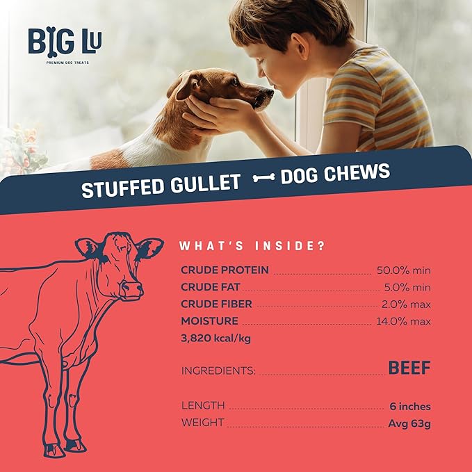 Big Lu - 6-Inch Stuffed Beef Jerky Sticks, 10 Count, Premium All-Natural Gullet Chews, High-Protein, Easily Digestible, Supports Dental Health and Joint Mobility