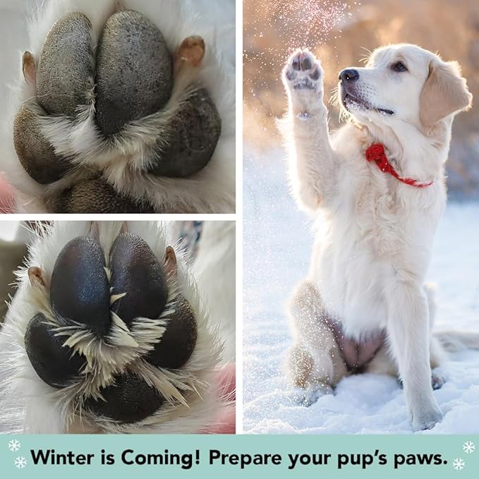 Natural Dog Company PawTection Balm for Dogs, Dog Paw Protector, Moisturizing Dog Paw Balm for Dry, Cracked Pad, Protects Paw from Extreme Weather, Paw Lotion for Allergies & Itching (0.15 oz Stick)