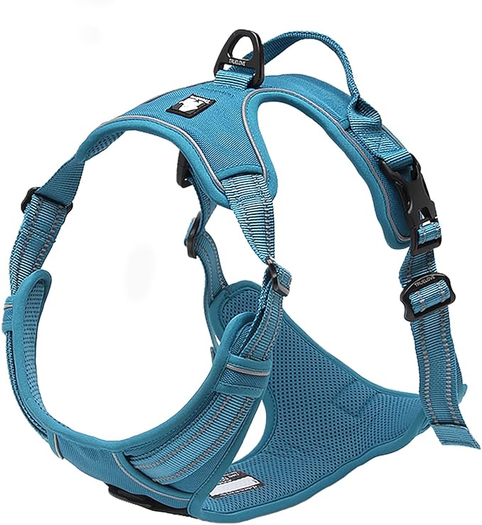 TRUE LOVE Truelove Adjustable No-Pull Dog Harness Reflective Pup Vest Harnesses Comfortable Control Brilliant Colors TLH5651(Blue,L)