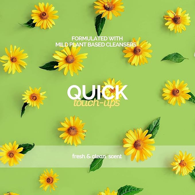 Bark2Basics in Between Clean Waterless Shampoo, 16 oz - No Water Needed, Dry, Natural Ingredients, Cleans and Freshens, Great for Spot Removal and Touch Ups, Professional Grade