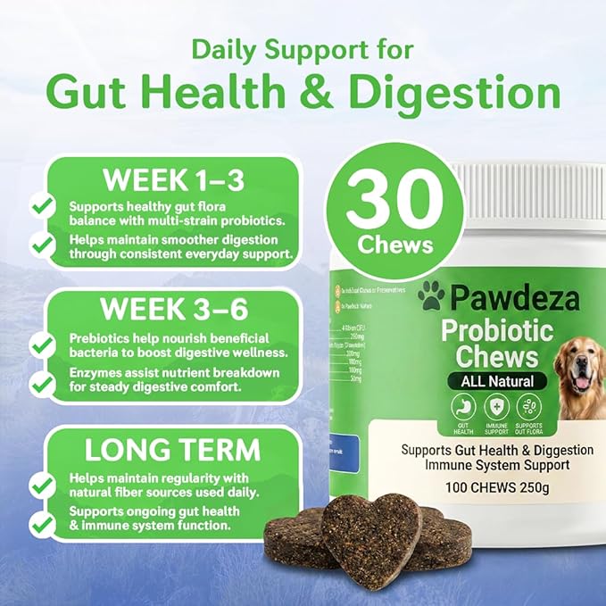 Dog Probiotics Chews – 6 Billion CFU with Prebiotics, Pumpkin, Inulin, Chicory Root & Digestive Enzymes – Supports Gut Health, Digestion, Immunity & Regularity – Natural oft Chews for Dogs