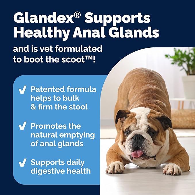 Vetnique Glandex Anal Gland Soft Chew Treats with Pumpkin for Dogs Digestive Enzymes, Probiotics Fiber Supplement for Dogs Boot The Scoot (Bacon Flavor Chews, 30 Count)