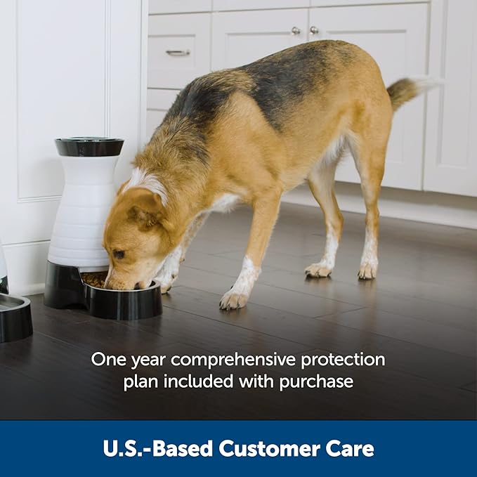 PetSafe Healthy Pet Food Station-Medium, 4 lb Kibble Capacity-Gravity Pet Feeder Dry Food Dispenser, Automatic Cat Feeder, Small to Medium-Removable Stainless Steel Bowl (Pack of 2)