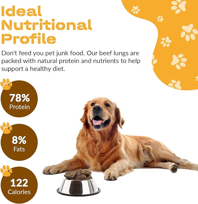 Dog Chits Beef Lung Fillets Dog and Puppy Treats - All Natural Grain and Chemical Free Training Chews - High Protein and Low Fat - Supports Dental Health - Made in The USA - Large 5 oz Bag