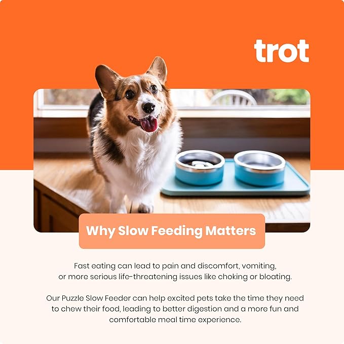 Trot Pets Elevated Dog Bowls | Stainless Steel Raised Bowl Set for Small, Medium, or Large Dogs | Non-Slip Food and Water Slow Feeder | Durable, BPA-Free, Anti-Skid, Dishwasher Safe (Charcoal, Small)
