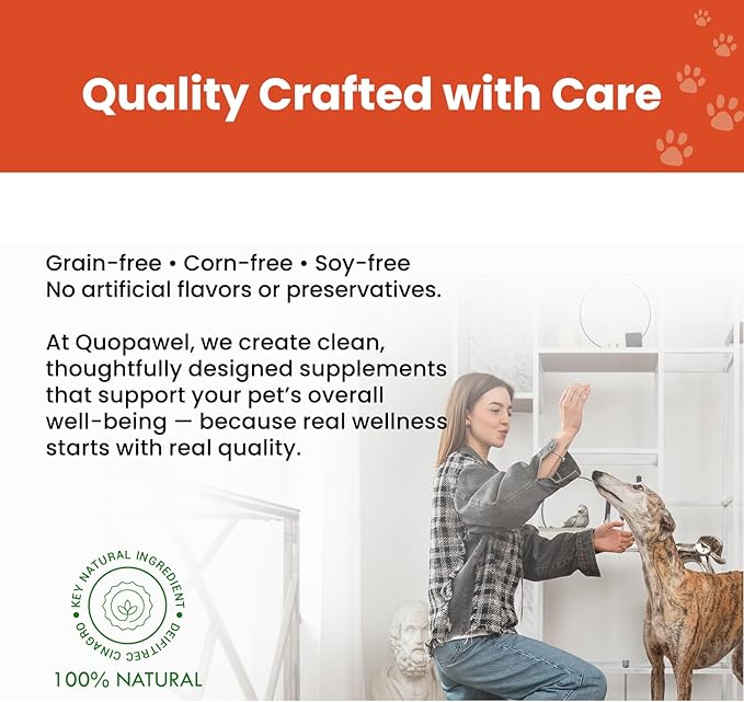 Hip and Joint Supplement for Dogs with Glucosamine, Chondroitin, MSM & Yucca - Glucosamine for Dogs，Joint Pain Relief Chews for Mobility & Discomfort-Chicken Flavor, 120 Count