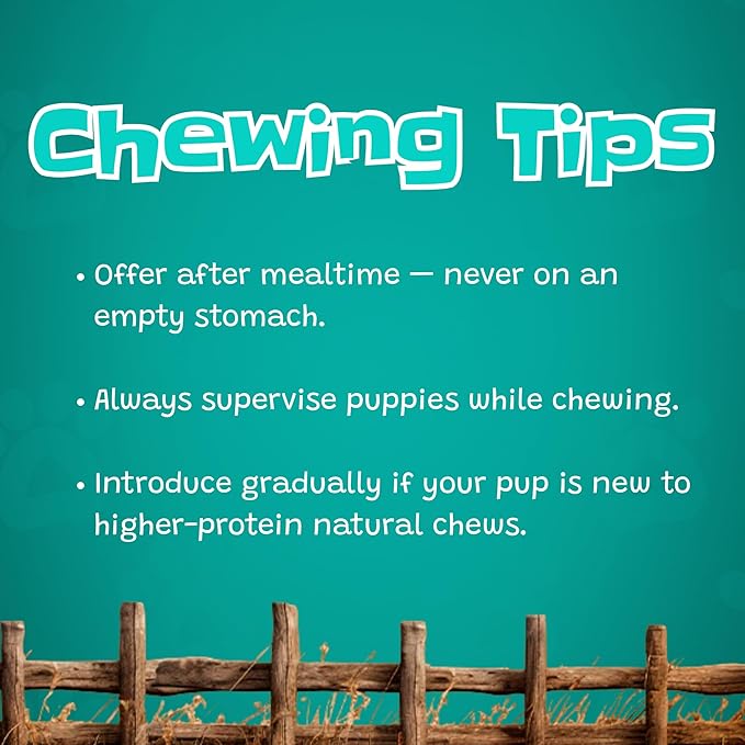 Junior Bully Sticks 6" Beef Bladder — 15 Count | Natural Single-Ingredient, Long-Lasting Dog Chews; Dental Support Treats for Pups and Small Dogs. Puppy Chew Sticks