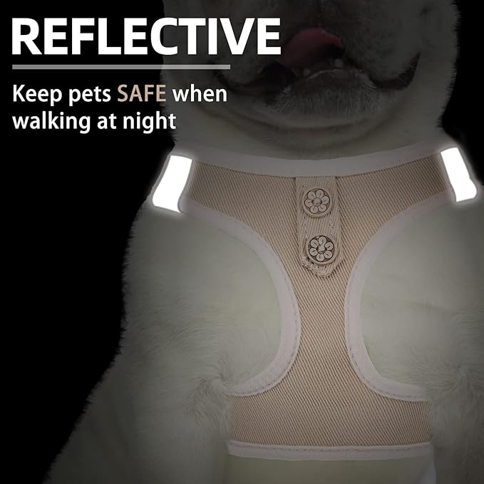 PUPTECK Dog Harness and Leash Set for Small Medium Dogs No Pull Step-in Soft Mesh Puppy Cat Vest Harnesses Reflective at Night, Denim Beige L