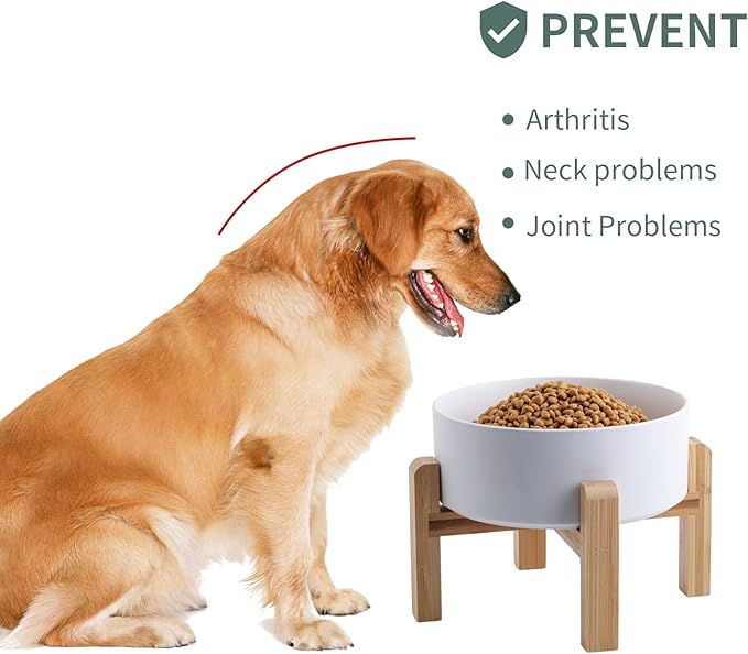 White Elevated Dog Bowl Ceramic for Small Medium Sized Breed,Raised Dog Food Water Bowl with Stand,6 in 3.6 Cups Non Slip Pet Dish Heavy Weighted