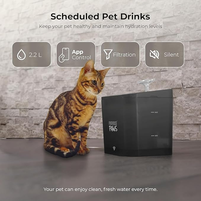 Penthouse Paws Smart Cat Water Fountain 2.2L, App Controlled Automatic Water Dispenser, Ultra Quiet Pump, 5-Stage Filter, Whisker Friendly Bowl, for Cat & Dog, Black