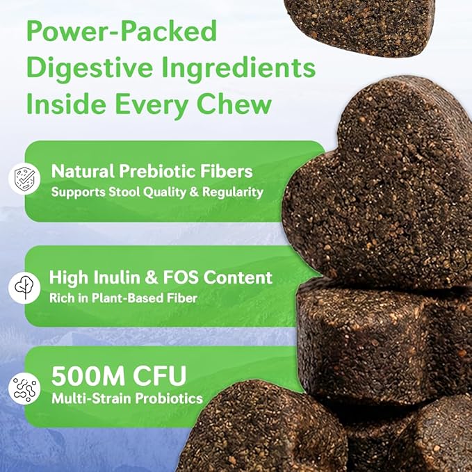 Dog Probiotics Chews – 6 Billion CFU with Prebiotics, Pumpkin, Inulin, Chicory Root & Digestive Enzymes – Supports Gut Health, Digestion, Immunity & Regularity – Natural oft Chews for Dogs
