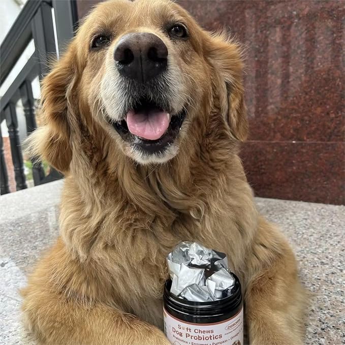 ZEBORA Probiotics for Dogs, Dog Probiotics, for Digestive Health, Plus Pumpkin and Fish Oil, for Gut & Itchy, 180 Soft Chews