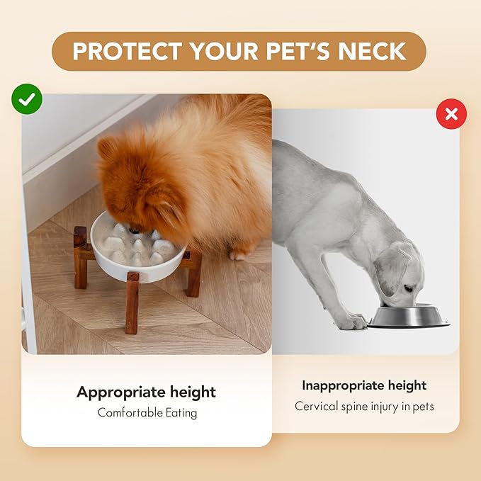 Ceramic 0.9 Cup Raised Slow Feeder Dog Bowl Set, Elevated Bowl with Acacia Wood Stand for Small Dog and Cat, 6.1inch Slow Dog Food Dish, Helps Stop Bloat(1 Bowl & Stand, Vanilla White)