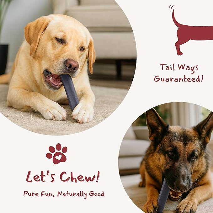 Majestic Pet Himalayan All-Natural Yak Style Cheese Dog Chews Made with 100% Cows Milk- Long Lasting Dental Chew for Dogs - Healthy Pet Treats (Cognitive Support & Vitality, Large, 1 Pack)