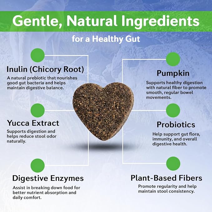 Dog Probiotics Chews – 6 Billion CFU with Prebiotics, Pumpkin, Inulin, Chicory Root & Digestive Enzymes – Supports Gut Health, Digestion, Immunity & Regularity – Natural oft Chews for Dogs