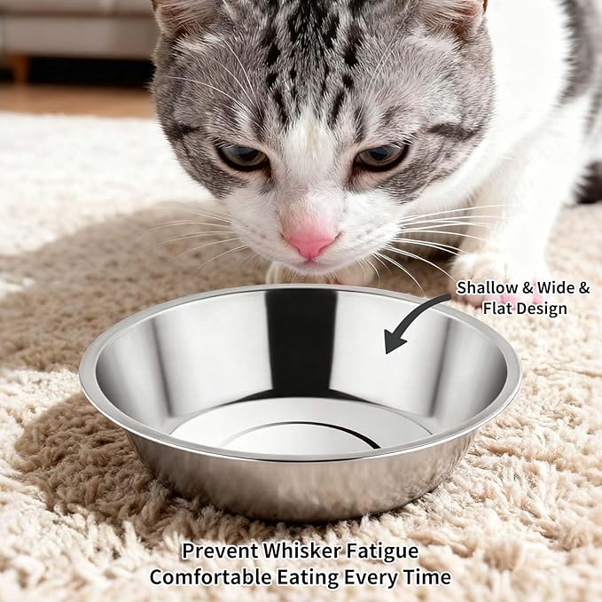 Tifanso 6PCS Stainless Steel Cat Bowls Dishes, 5.6” Metal Shallow Wide Whisker Friendly Cat Food Water Feeding Bowl, Kitten Plates, Basic Indoor Pet Food Tray, Dishwasher Safe