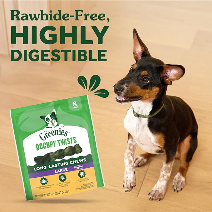 Greenies Occupy Twists Natural Dog Treats Large Breed Size Dog Chews Long Lasting Chicken Flavor, 34.2 oz. Pack, 16 Count