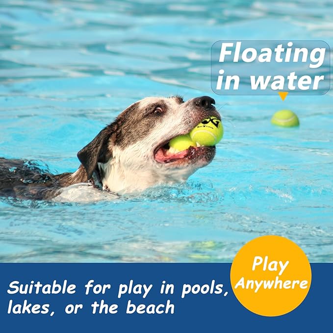 Tennis Balls for Dogs - Bulk 50 Pack 2.5'' Durable Non-Toxic Outdoor Dog Toys Balls with Mesh Bag, SGS Certified, Colorful Fetch Toys, Medium Large Breeds (Non Squeaky)