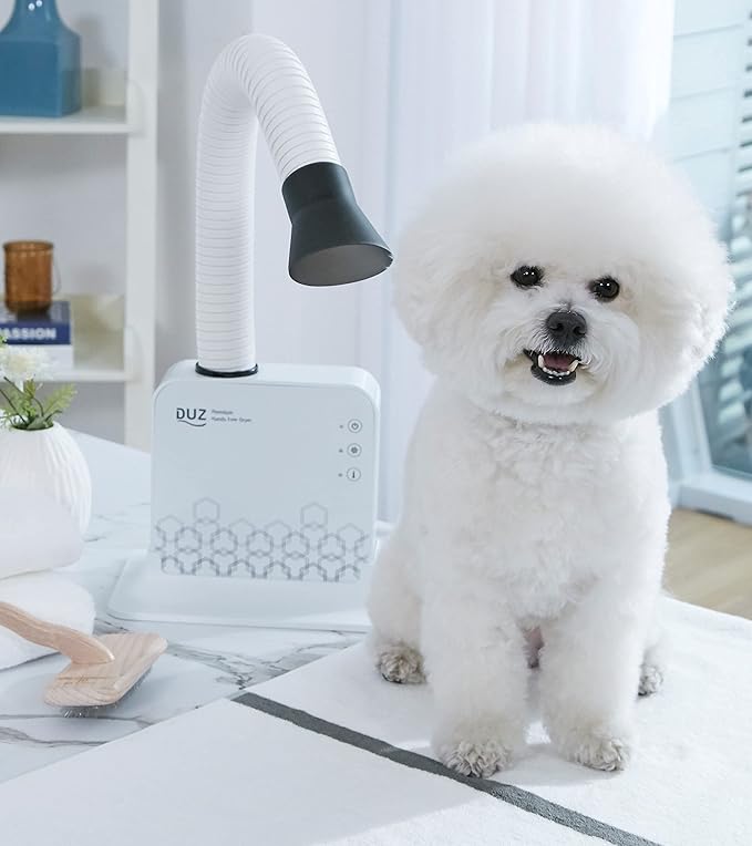DUZ V2 Super Quiet Hands-Free Pet Dryer: Low-Noise Dog Dryer for Grooming, Reduces Labor & Stress, Ideal for Small Dogs and Cats, 1-Year Warranty