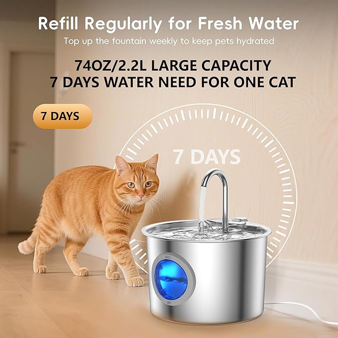 Cat Water Fountain Advanced 304 Stainless Steel 2.2L/74oz with Detachable Tank, Easy to Clean, Automatic Pet Fountain Quiet Cats Water Dispenser, Dogs (74oz Cat Fountain + 6 Filters)