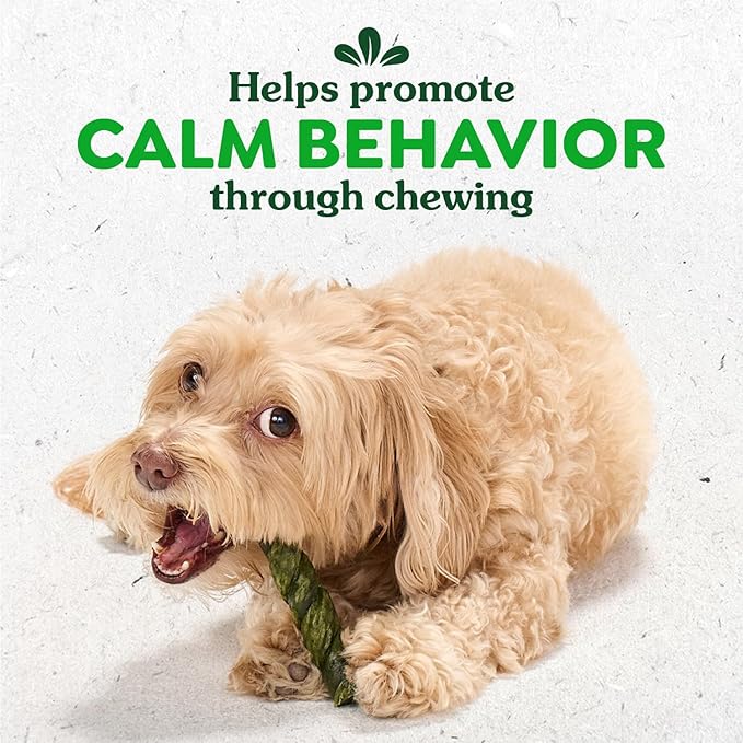 Greenies Occupy Twists Natural Dog Treats Large Breed Size Dog Chews Long Lasting Chicken Flavor, 34.2 oz. Pack, 16 Count