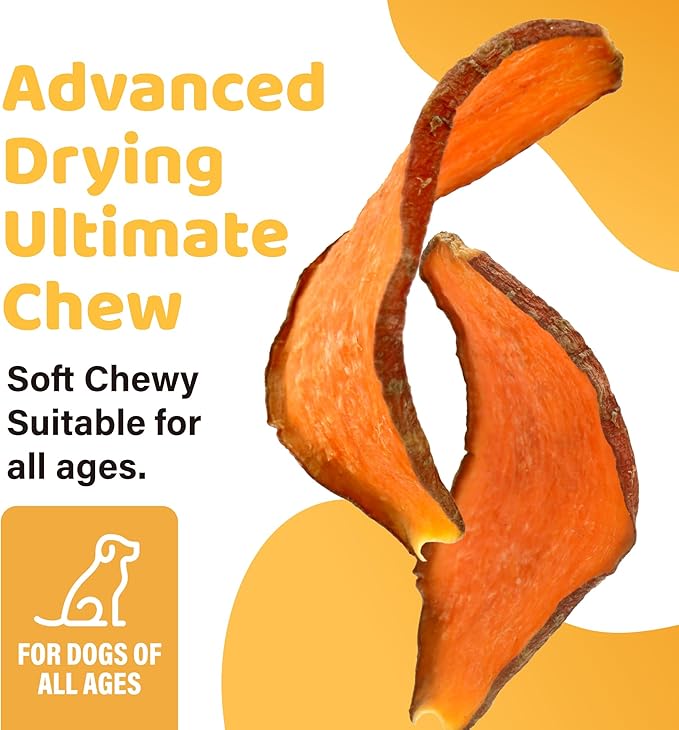 iPaw Sweet Potato Chews, Single Ingredient Dog Treats for Vegetarian, All Natural Human Grade Puppy Chew, Rawhide Alternative, Hypoallergenic, Easy to Digest, 5 Packs